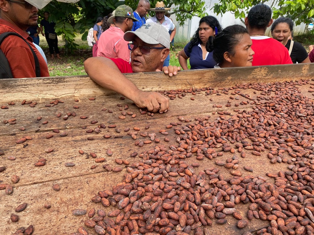 Cacao APPTA