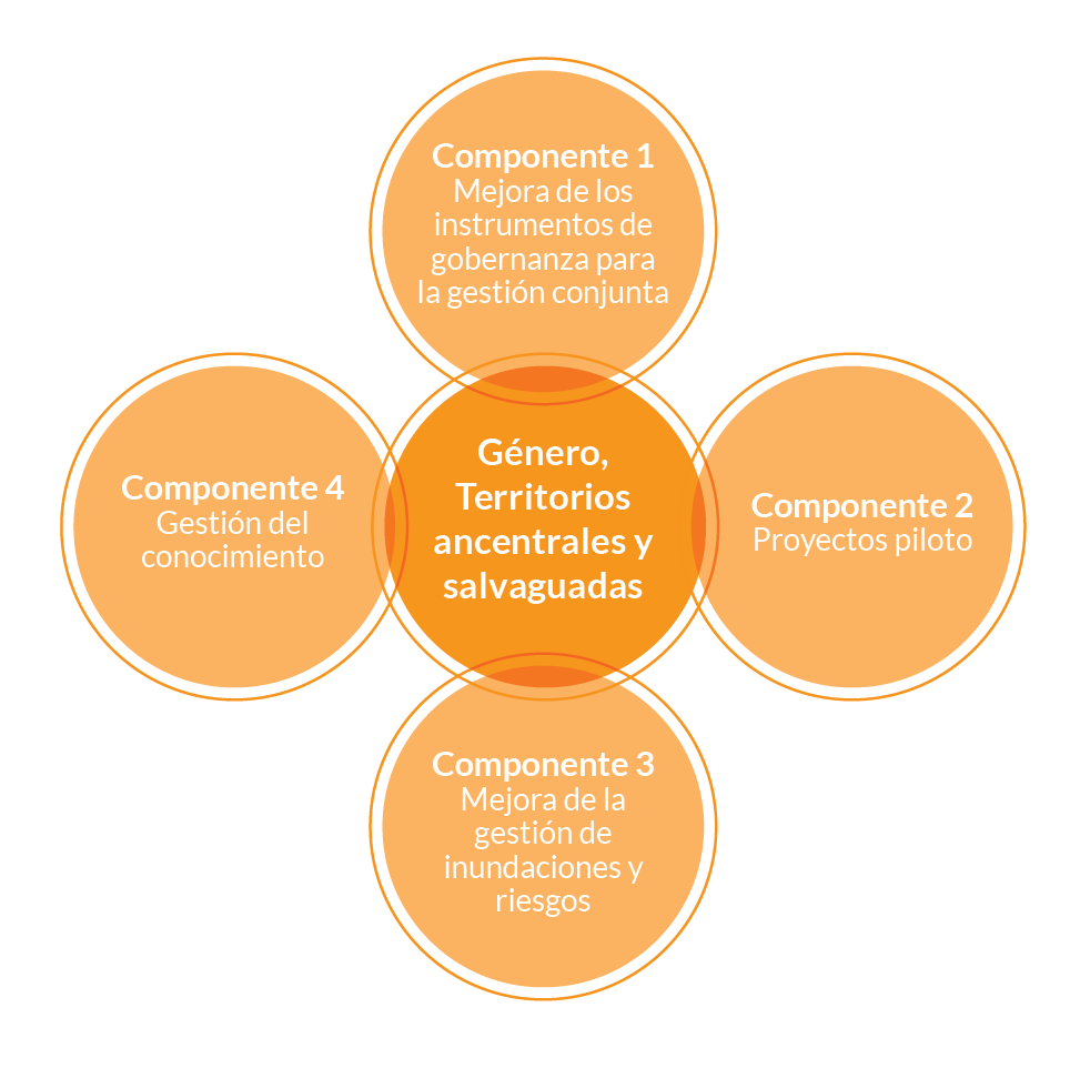 Diagrama componentes y ejes integradores