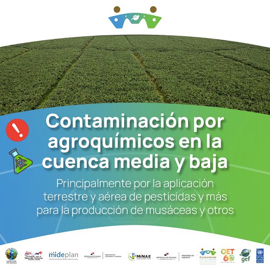 Problema 1 Agroquímicos