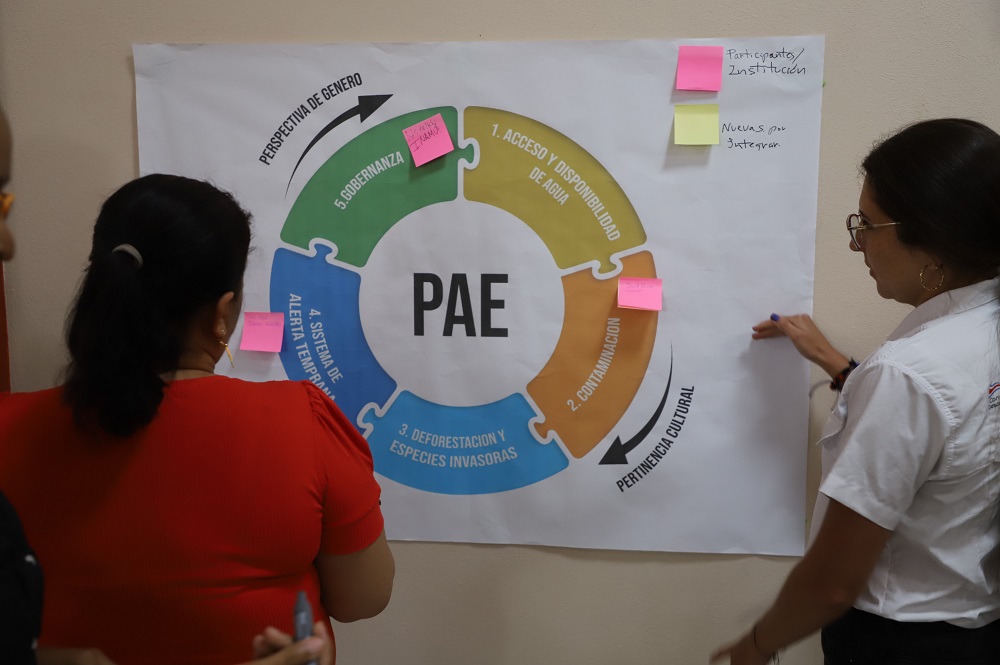 PAE