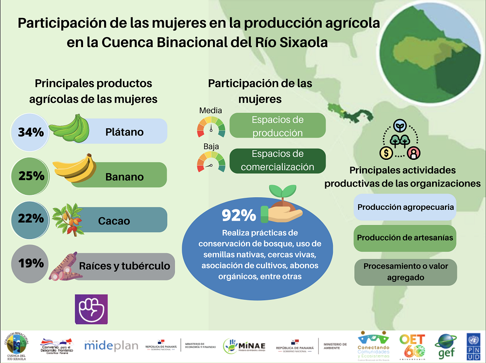 Participación 4