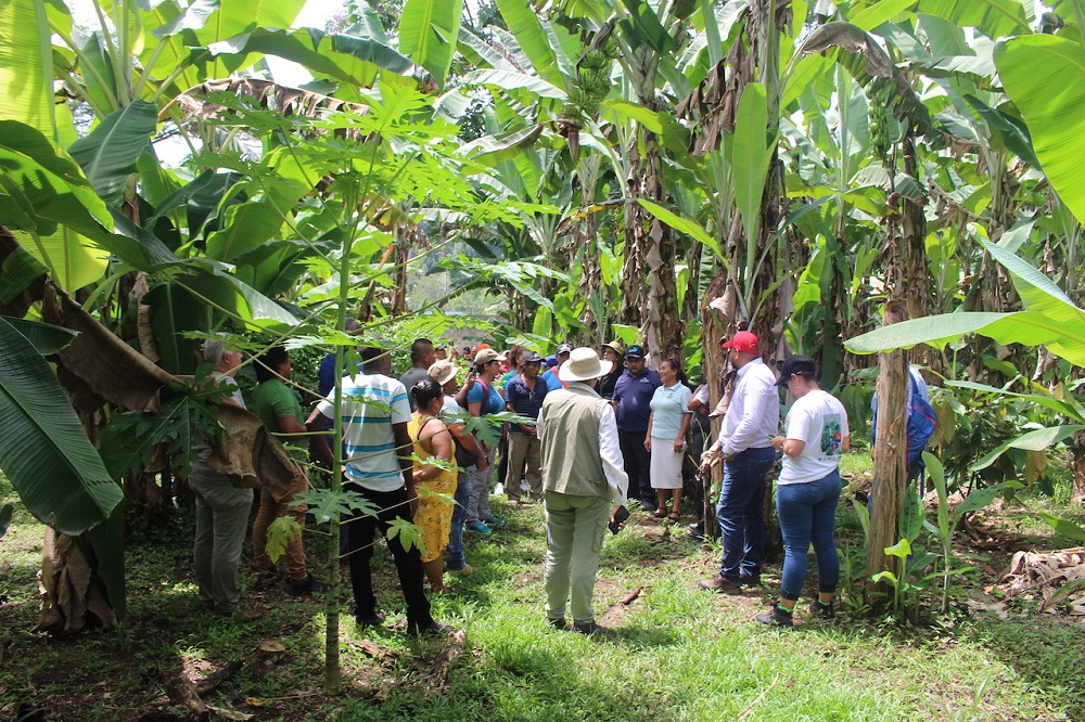 Recorrido APPTA Sixaola